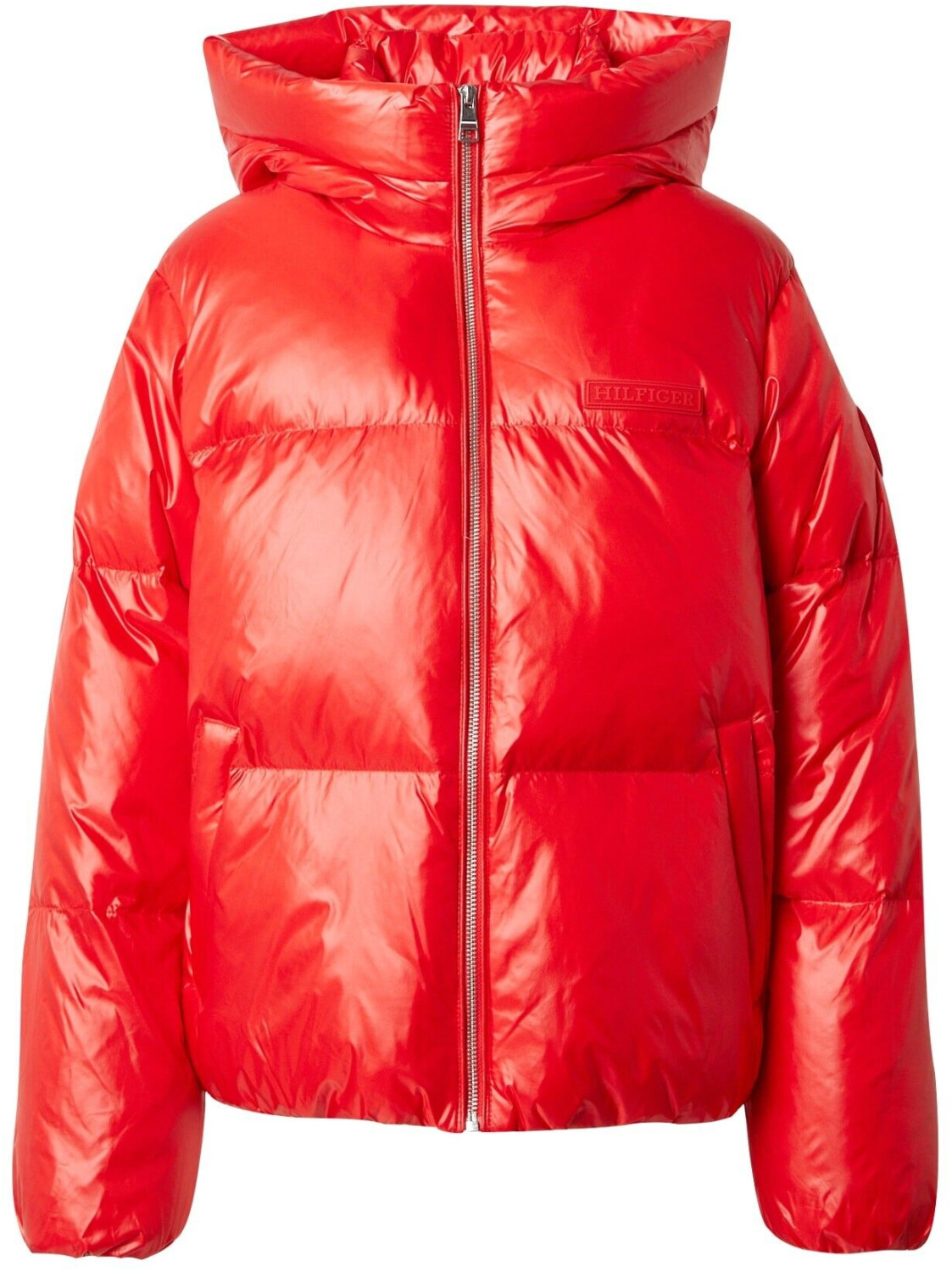 Tommy Hilfiger New York Down Relaxed Puffer Jacket (WW0WW40836)