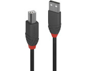 Vhbw Adaptateur USB C vers VGA pour PC, moniteur, télévision, projecteur -  Câble adaptateur USB-VGA, 180 cm