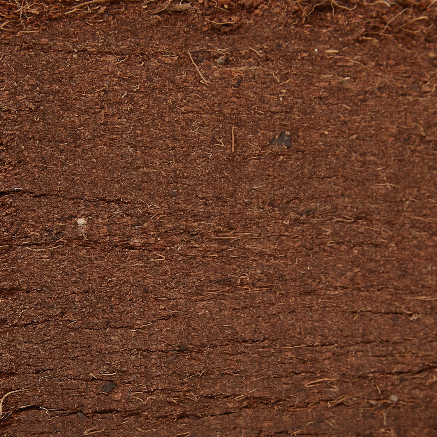 Flower Flower 80070 - back view