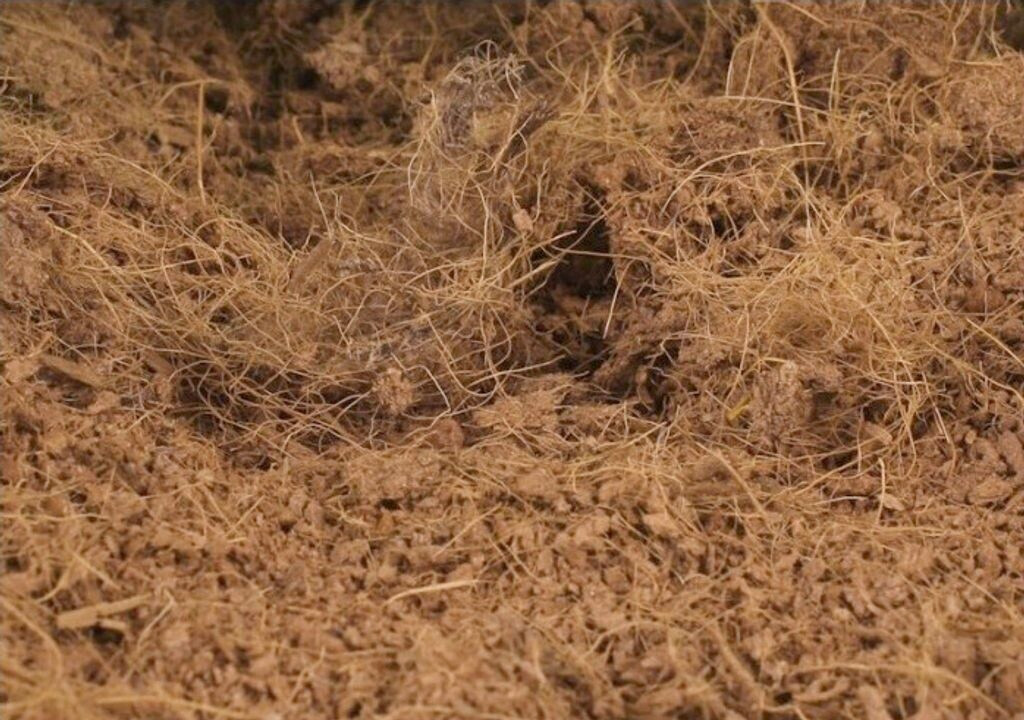 Kotarbau Kotarbau Natürlich & Torffrei Kokoserde Kokoseinstreu 1,3kg 14 L - detail view