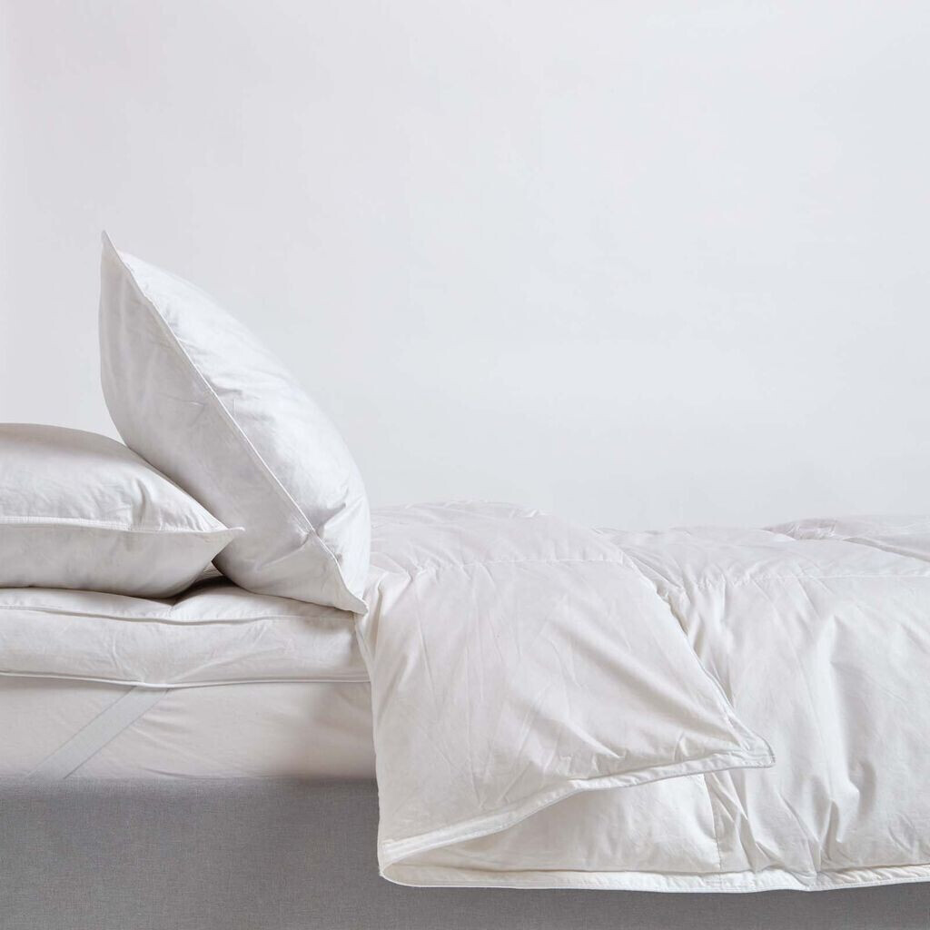 Homescapes DP1263B