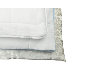 € cm Ente (6192970581) Betten-Set 72,73 Preisvergleich ab 200x200 bei normal silberweiß Ribeco | Überraschungspaket weiß