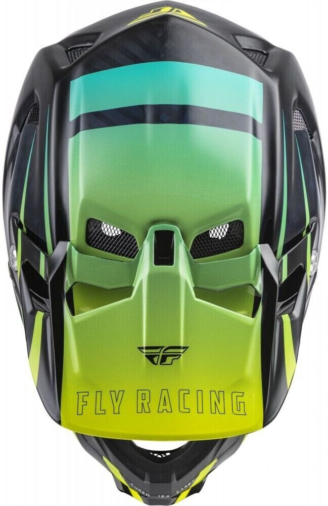 Fly Racing Werx-r Downhill Helmet (73-9223L) green