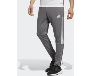 Adidas Man Tiro 21 Training Pants team grey four (GJ9868) ab 35,00 € |  Preisvergleich bei
