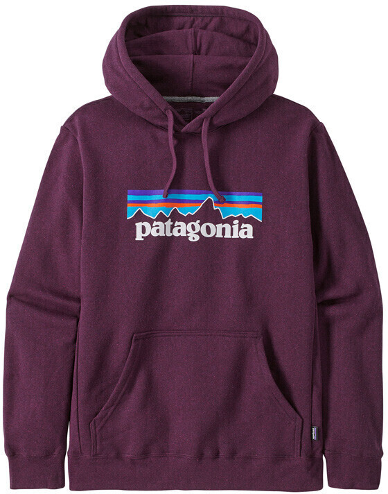 Hoodie patagonia on sale