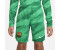 Nike Kids FC Barcelona 2023/24 Stadium Goalkeeper Dri-FIT Football-Shorts (DX2782) green