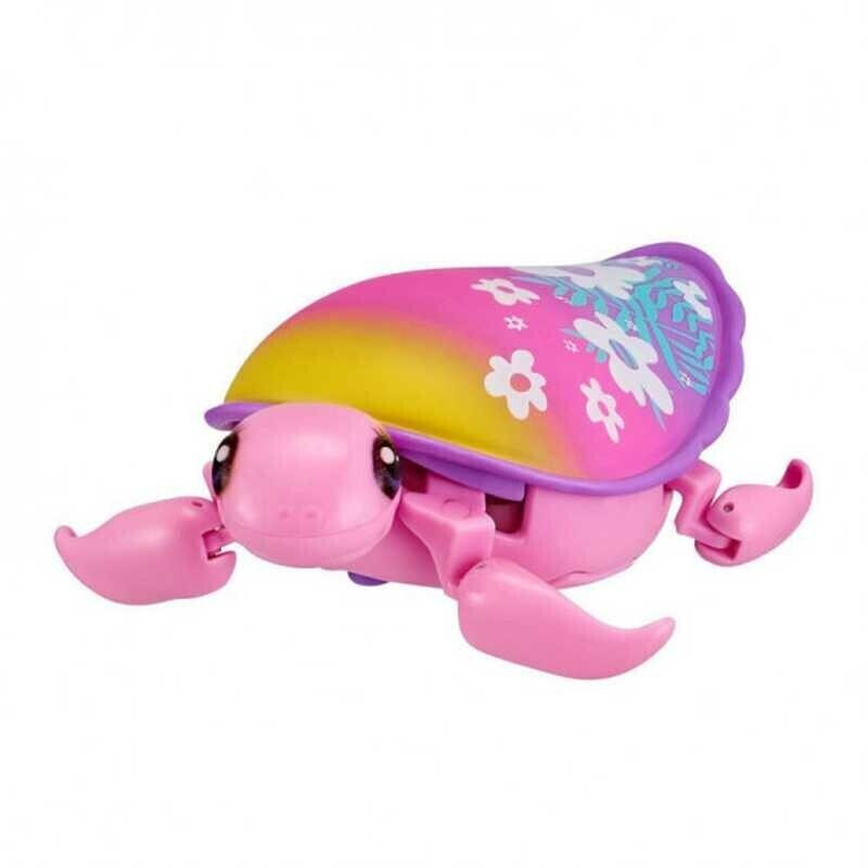 Tortugas molonas 2025 serie 5