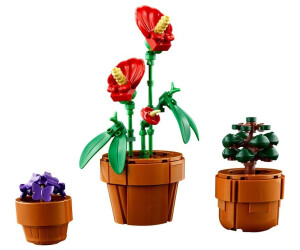 Soldes LEGO Icons - Les plantes miniatures (10329) 2024 au meilleur prix  sur