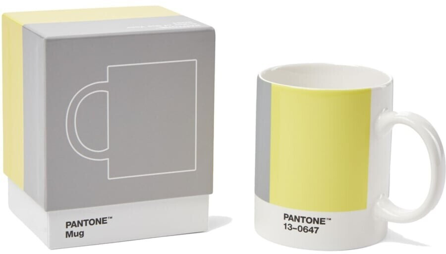 Pantone 18581