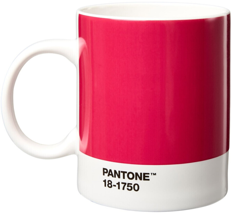 Pantone 19107