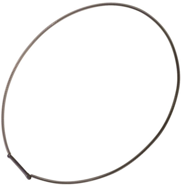 Whirlpool Spannring hinten Whirlpool 481249218028 für Türmanschette Waschmaschine, Bild 2