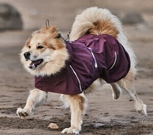 Hurtta Imperméable pour chien ECO Hurtta Imperméable pour chien ECO