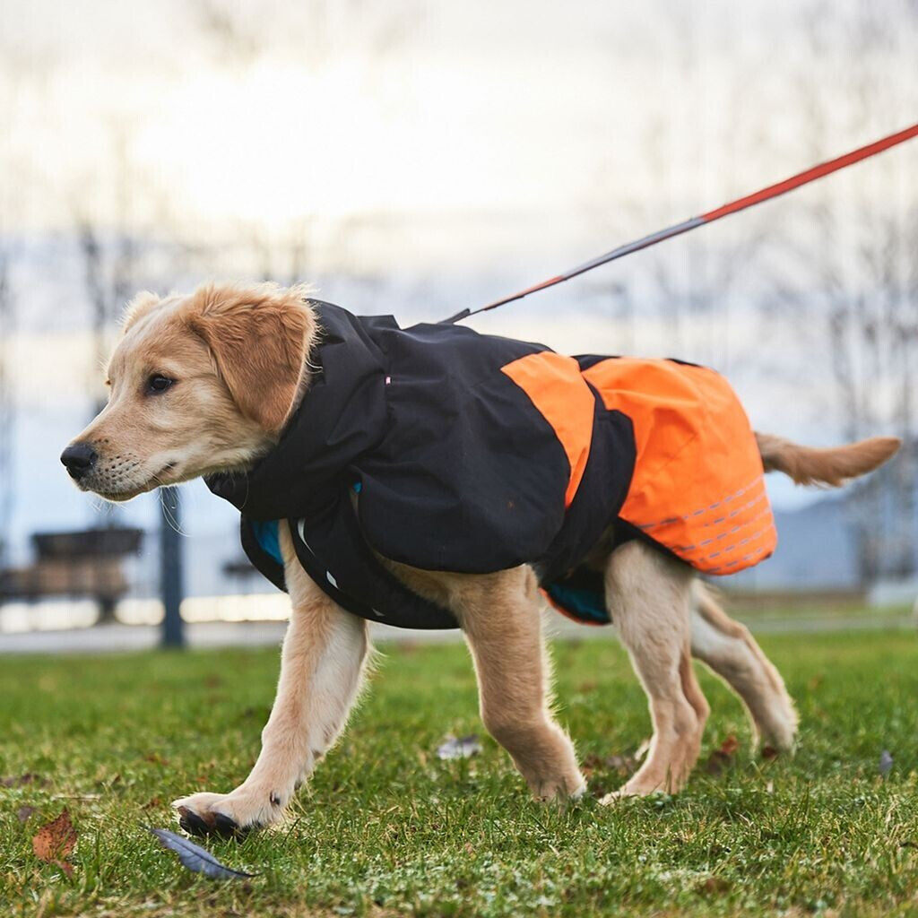 Non-stop dogwear Manteau pour chien 45 Black/Orange Non-stop dogwear Manteau pour chien 45 Black/Orange