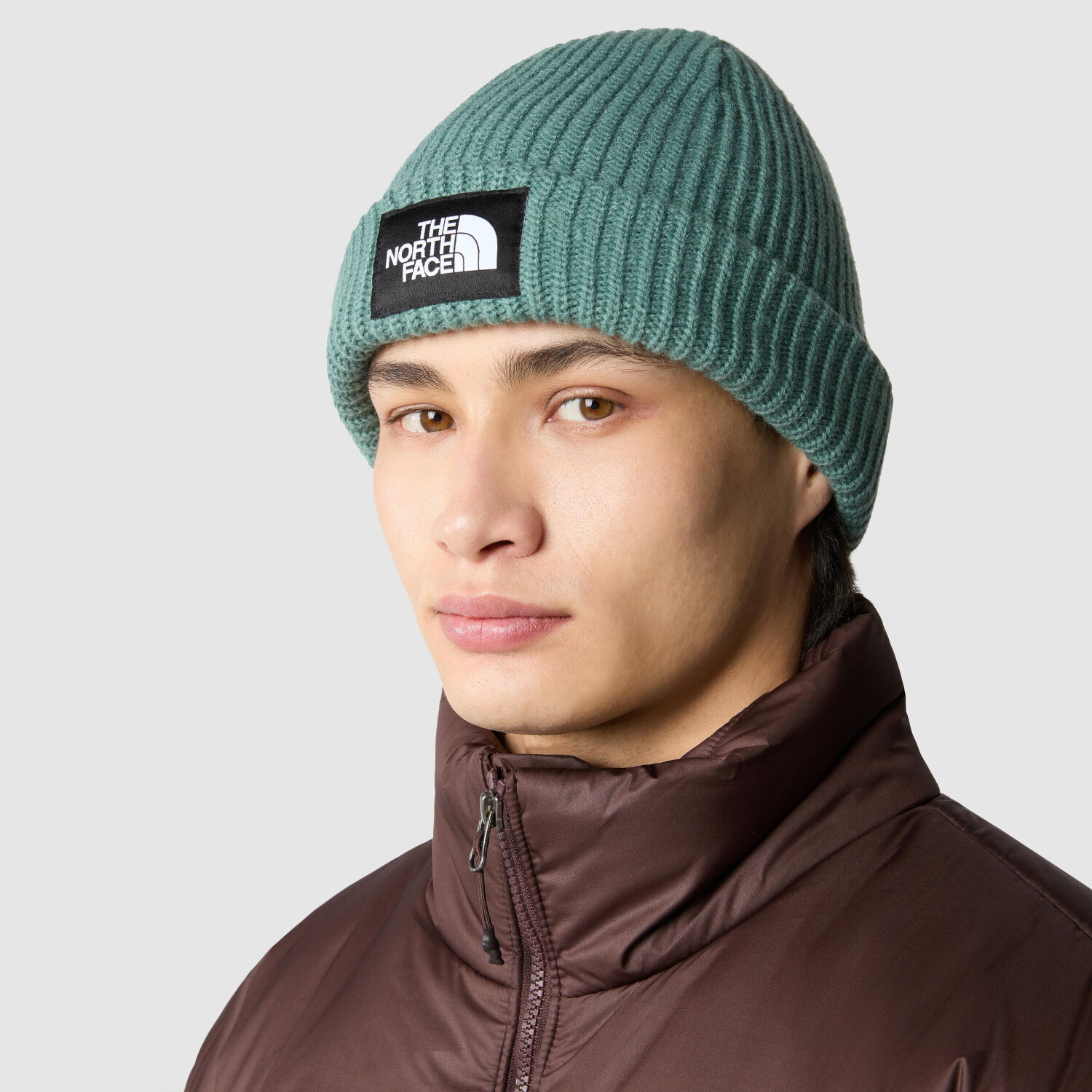 Salty dog beanie the north face top