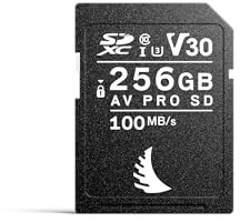 Angelbird AV Pro SD Card V30 256GB