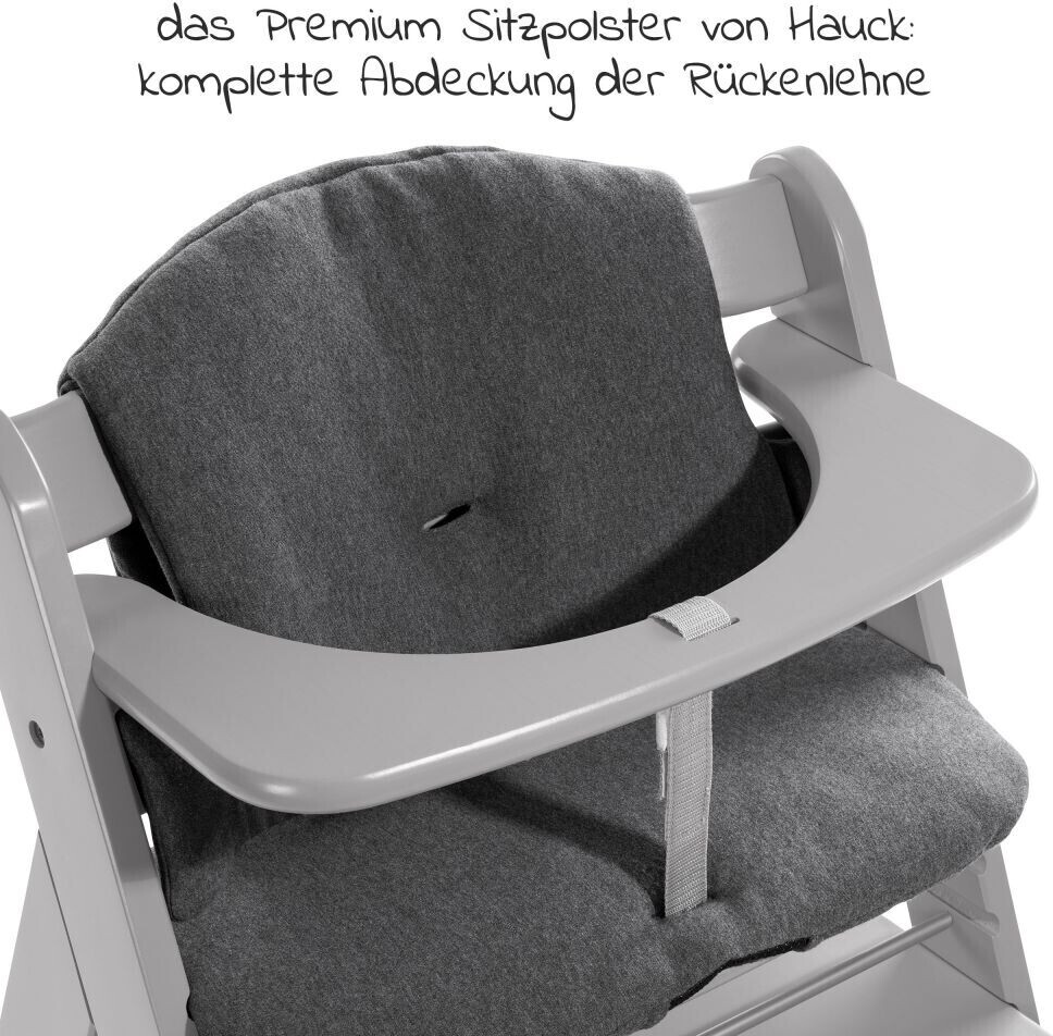 Hauck Alpha+ Sparset (2-tlg.) grey/jersey Preisvergleich ab | 119,90 € charcoal bei