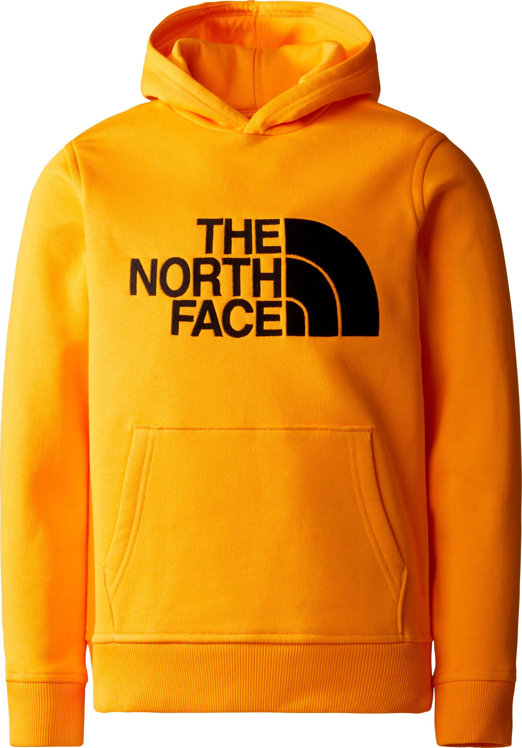 The North | Face gold 35,00 Peak Youth Drew € Hoodie summit Preisvergleich bei ab