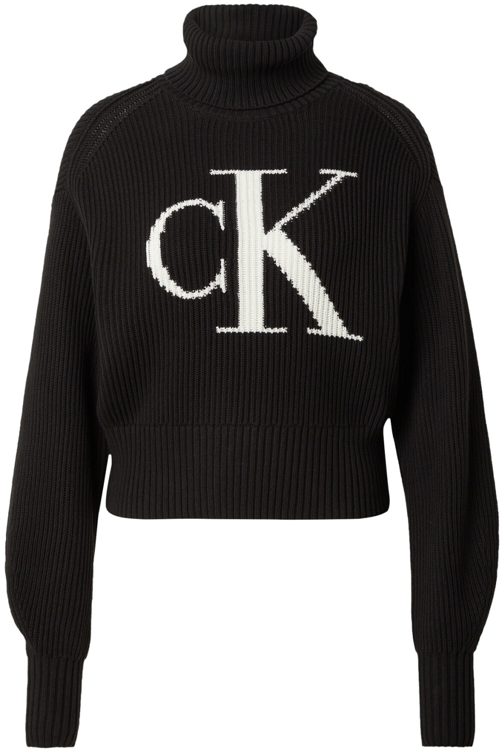 Calvin Klein Blow Up Loose (J20J221960) black