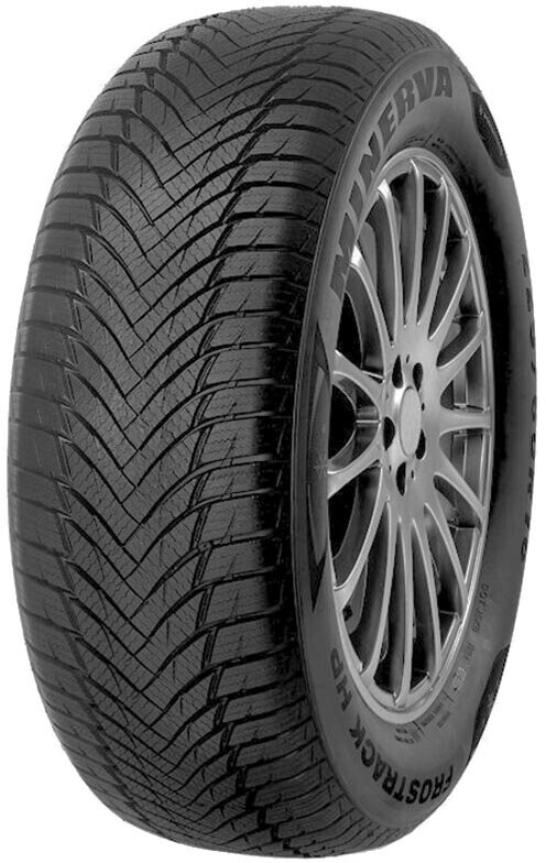 Minerva Frostrack HP 205/65 R16 99H