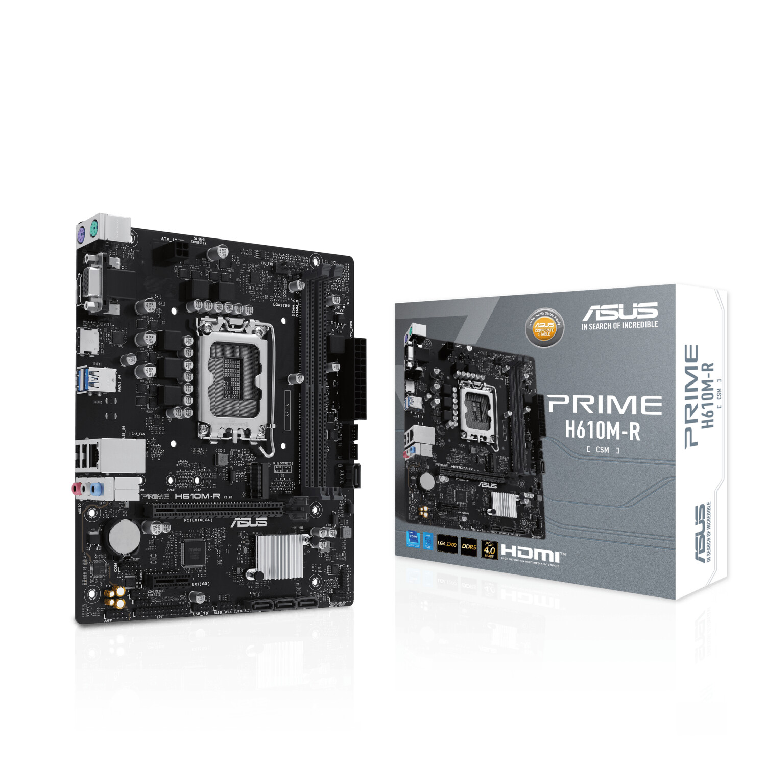 Asus Prime H610M-R-CSM