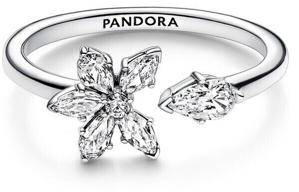 Ring stores discount like pandora