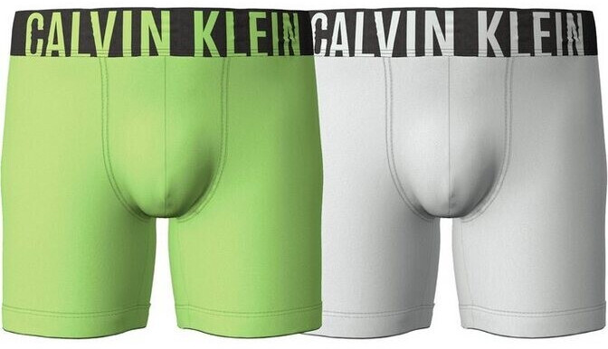 Calvin Klein 2-Pack Boxershort (000NB2603A) tropic lime/galaxy grey