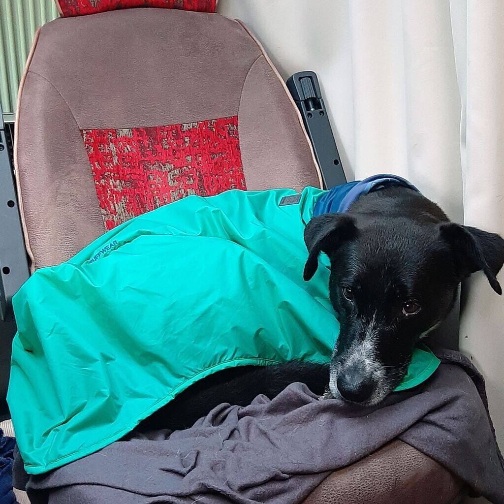 Ruffwear Dirtbag Dog Drying Towel Medium Aurora Teal