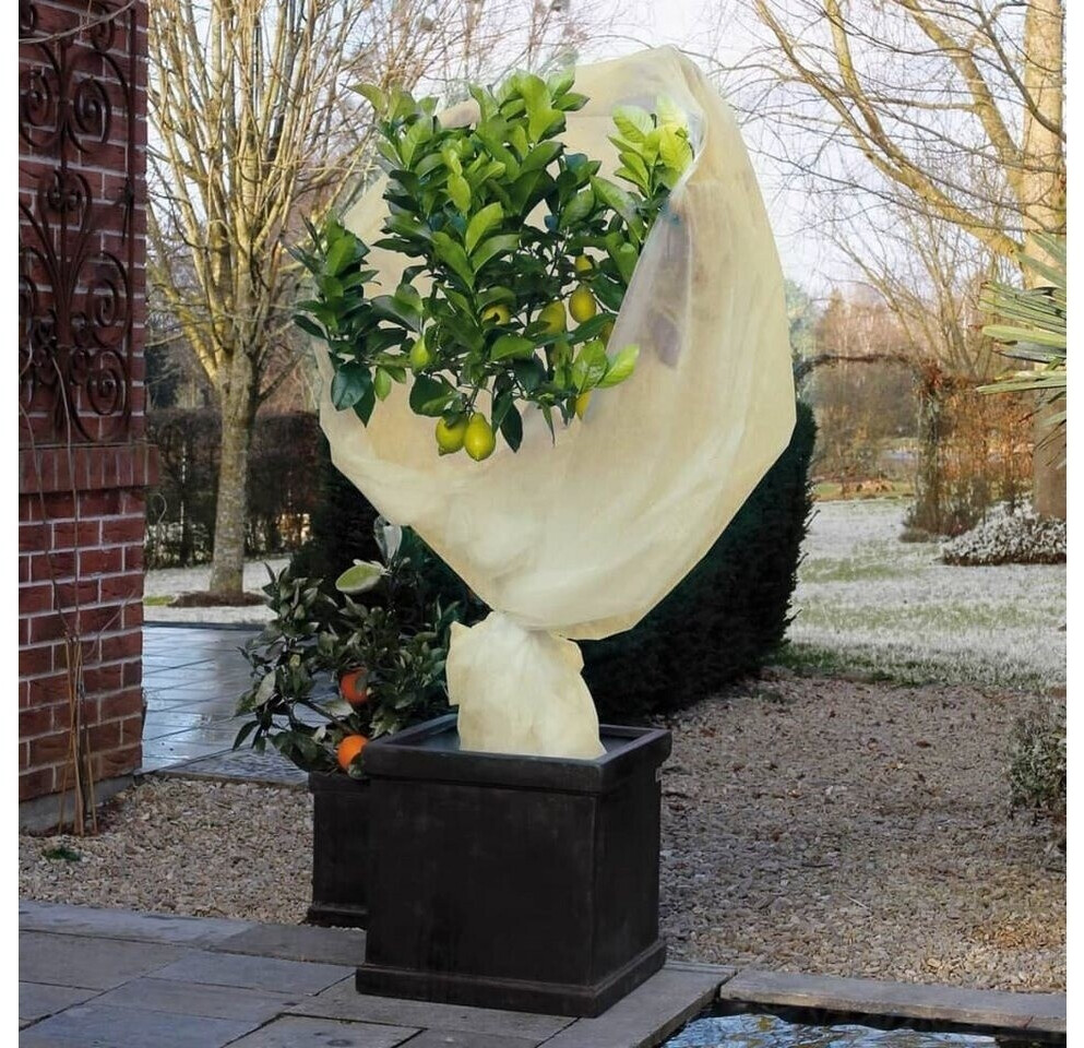 Nature Nature 6030094 - back view