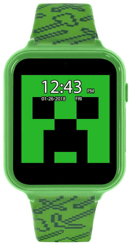 Character Options Minecraft MIN4045ARG green