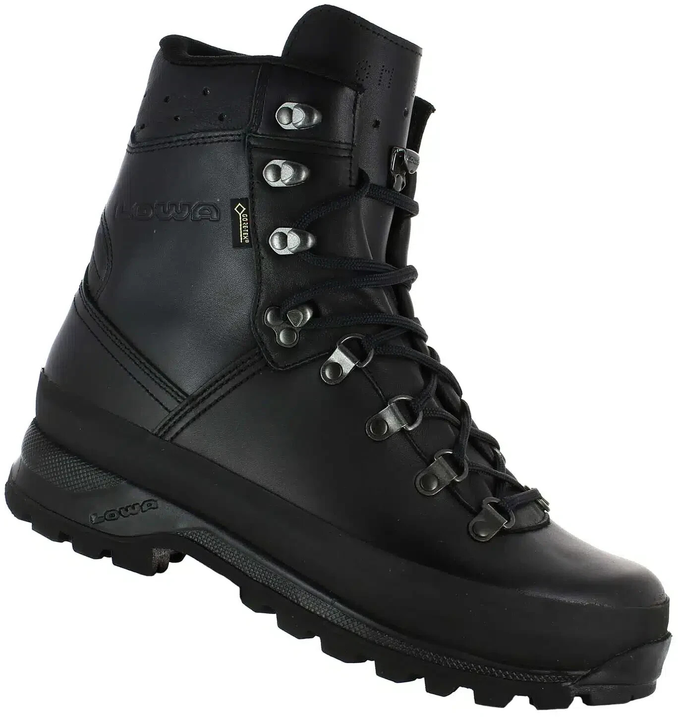 Lowa Mountain Boot GTX