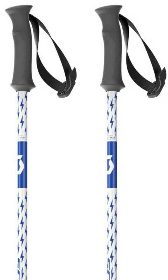 Scott Element Junior Poles (291509-1029) silver
