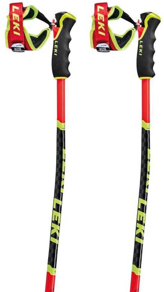 Leki Wcr Tbs Gs 3d Poles (65267761) multicolor