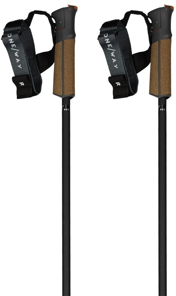 Fischer Gt 13 Carbon Mag Poles (OZ31123) brown