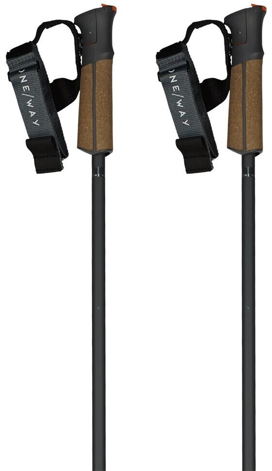 Fischer Gt 13 Comp Mag Poles (OZ31323) brown