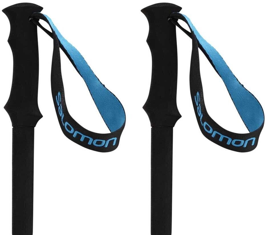Salomon mtn sale outdoor pole