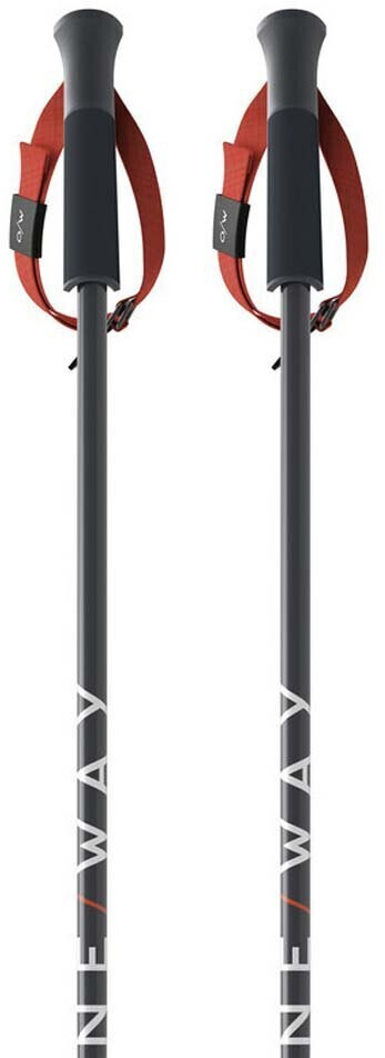 Fischer Rd Sl Poles Junior (FOZ35121) black