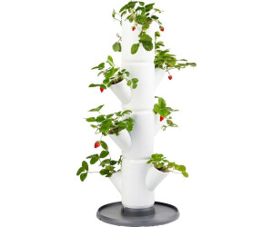 Gusta Garden Erdbeerbaum inkl. | 4 Strawberry Preisvergleich Etagen € 24,90 weiß Untersetzer ab bei Sissi
