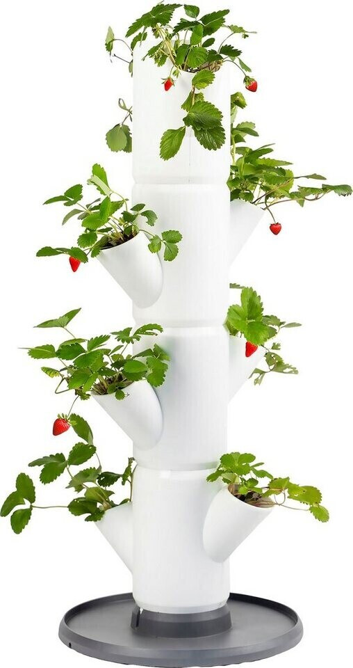 Gusta Garden Sissi Strawberry Erdbeerbaum 4 Etagen inkl. Untersetzer weiß  ab € 24,90 | Preisvergleich bei | Pflanzkübel