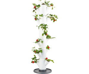 Gusta Garden Sissi Strawberry Erdbeerbaum 6 Etagen inkl. Untersetzer weiß  ab 39,99 € | Preisvergleich bei