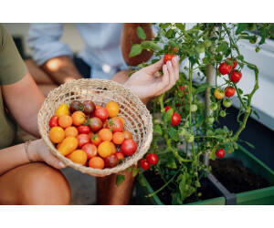 Gusta Garden Tom Tomato Tomatentopf mit Wassertank & Rankhilfe dunkelgrün  ab € 39,90 | Preisvergleich bei