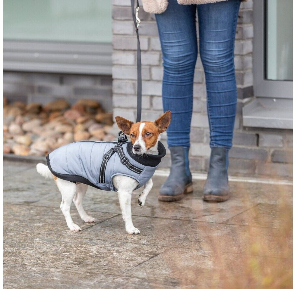 Trixie Manteau pour chien XS Grey Trixie Manteau pour chien XS Grey