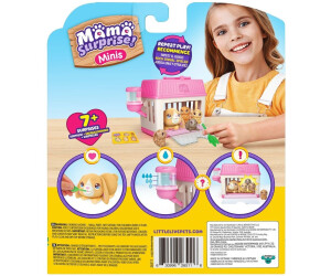 Little outlet live mouse