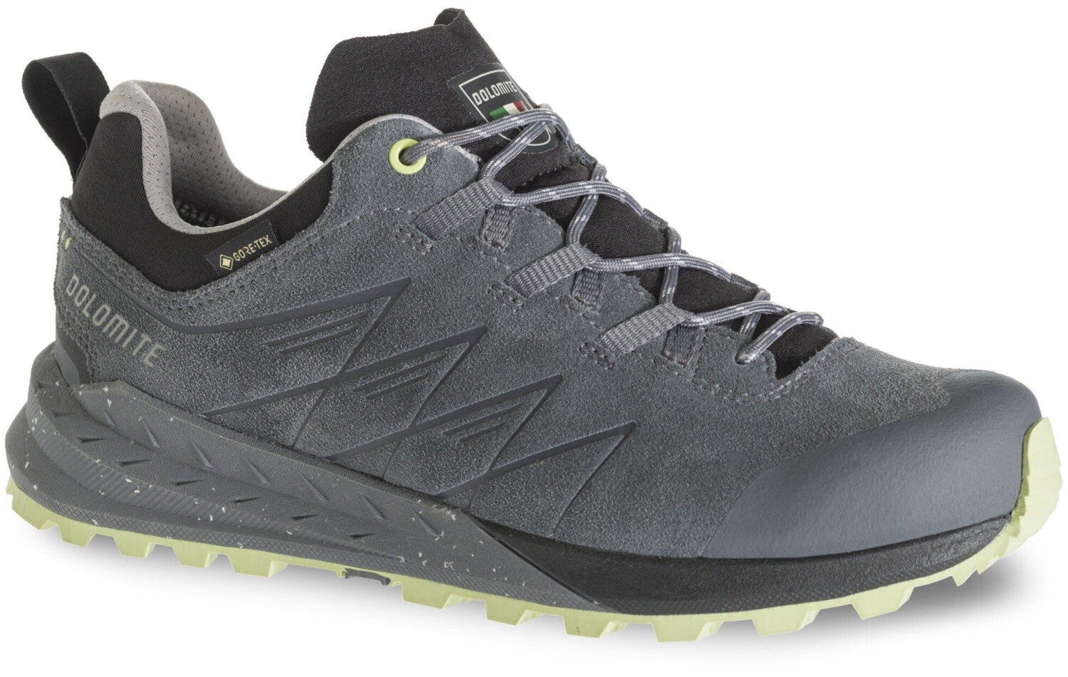 Dolomite Croda Nera GTX Multisport Shoes grey