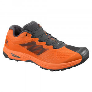 Salomon x alpine pro top