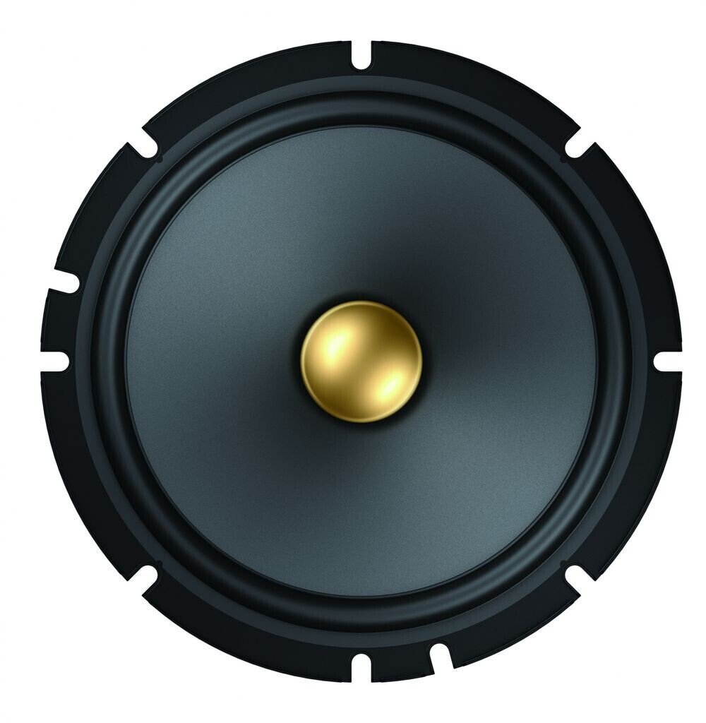 Pioneer TS-A1601C