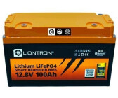 Timeusb 24V 100Ah LiFePO4 Batterie, integriertes 100A BMS, 2560Wh