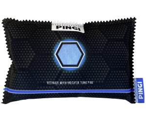 Pingi Autoentfeuchter schwarz (LV-N350) ab 11,57