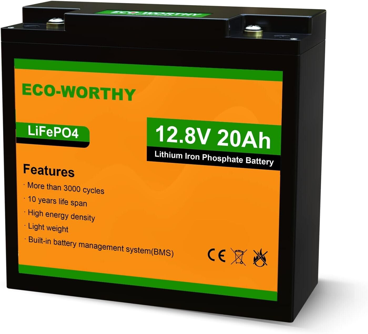 ECO-WORTHY ECO-LFP12100 ab 44,98 €
