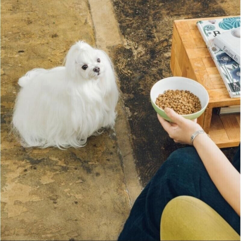 Nature's Protection SUPERIOR CARE Hypoallergenic Grain Free dry dog food Salmon