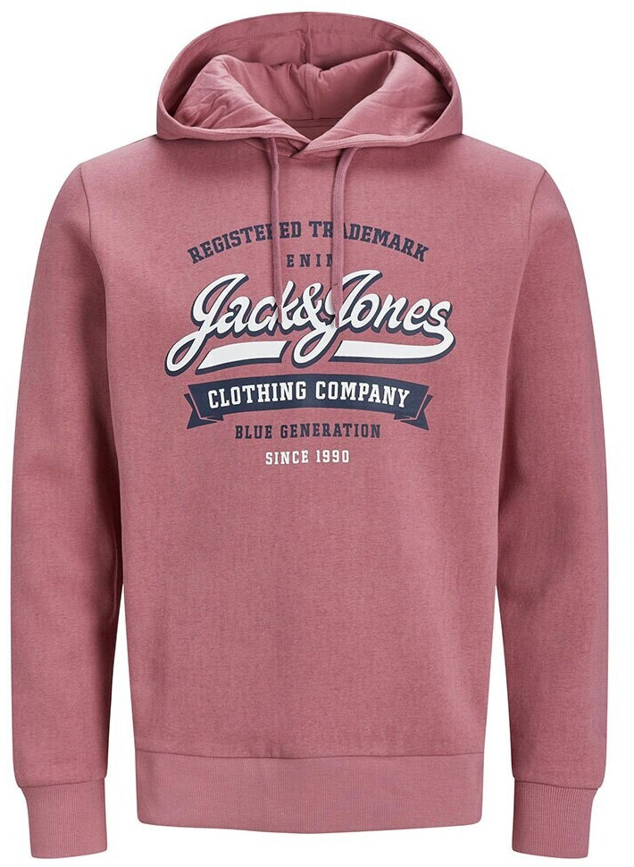 Jack & Jones Logo 2 Col 23/24 Hoodie (12233597) MesaRose